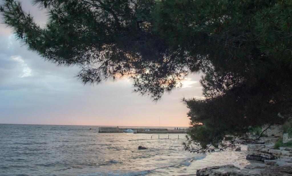 Apartments Villa Stapo Umag Eksteriør bilde